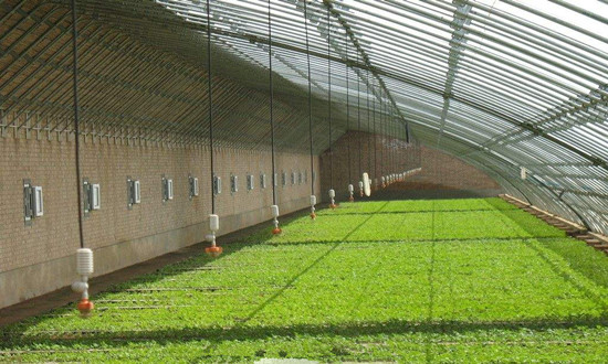 溫室大棚改用空氣源熱泵供暖，既經(jīng)濟(jì)又省心