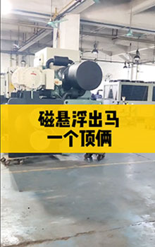 磁懸浮出馬，一個(gè)頂倆！